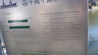 花弁が水面をピンク色に染めるころ