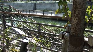 公園っていうより、テラスですね。