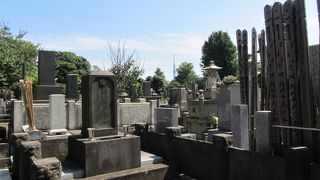 とても広く、散策路のよう