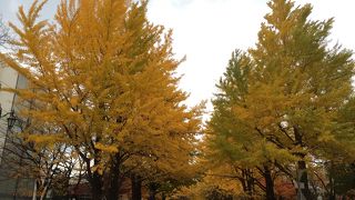 北大構内を散策したらここに来てしまう