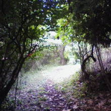 松田山緑の風自然遊歩道入口付近