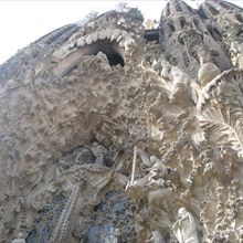 すぐ下から見上げます