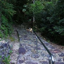 更に険しい坂を登ります。