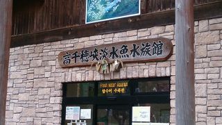 コンパクトな淡水魚水族館