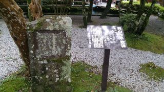 うっすらと苔に覆われています