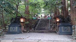 存在感があります。