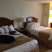 広いお部屋だったが、室内の家具に”アリ”がいた？