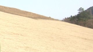 芝におおわれたなだらかな山