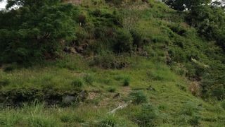 崩壊の進む残念な城跡