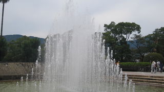 はとの羽ばたき