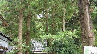 浅井家の祈願寺