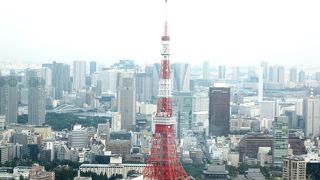 東京タワーがきれいに見える