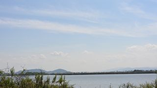 琵琶湖最大の内湖
