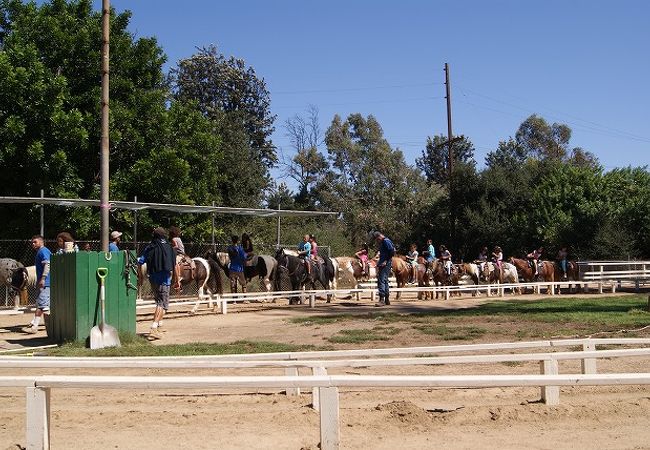 Griffith Park Pony Ride