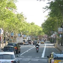 真ん中は道路なので、車の交通量も多いです。