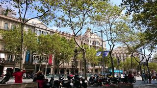 おしゃれな大通り