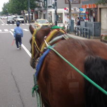 道交法上は軽車両扱いで、警察の方が随所で誘導しながら進みます