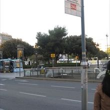 バス停はこんな感じ