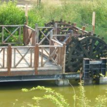 安平樹屋にあります