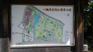 緑豊かな公園