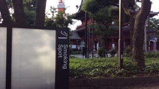 なかなかの迫力です