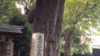 かなりの大きさです。