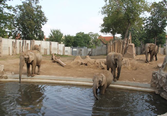 ハレ動物園