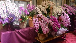 オーケストラピットがありました