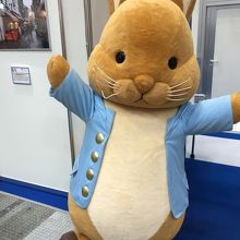 ピーター  ラビットなのでしょうか？