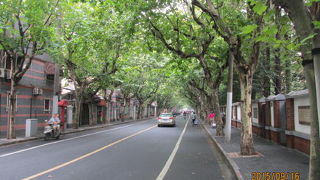 日本租界時代の緑の木々に囲まれた洋館が多く残っています。