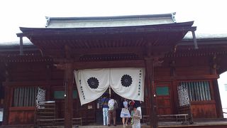 イチョウが見事