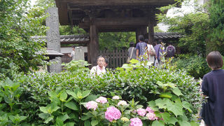 境内は撮影禁止です