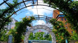 横浜港とベイブリッジの眺め