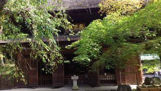 尾張徳川家の菩提寺
