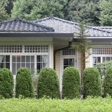 心のなごむ色ですね。