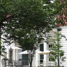 別世界のよう。