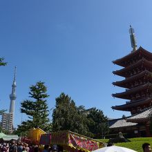 五重塔と東京スカイツリー