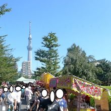 東京スカイツリーと浅草寺の五重塔　パノラマモード