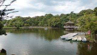 浮見堂が水面に映っています。