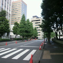 桜田通り側の三年坂の様子です。勾配は、やや緩やかです。