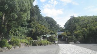 自然豊かな神社