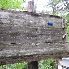 かなり傷んできた看板です。