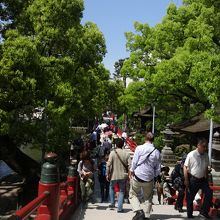 心字池にかかる橋