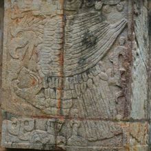 心臓を食べるワシ