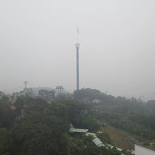 タイガー スカイ タワー