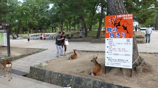 有料イベントだと知りました