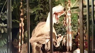 ボリューム満点です。