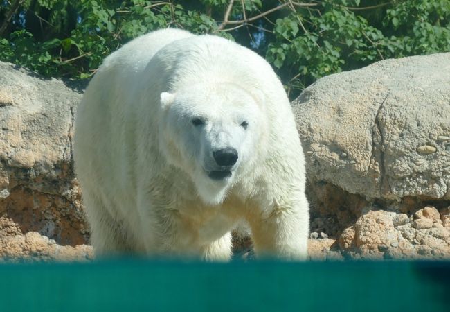 豊橋総合動植物公園(のんほいパーク)