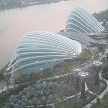 フラワー ドーム