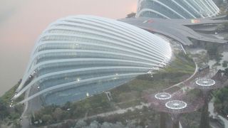 フラワー ドーム